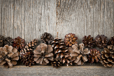 How to Create Brightly Colored Pinecone Flames for the Fireplace Image
